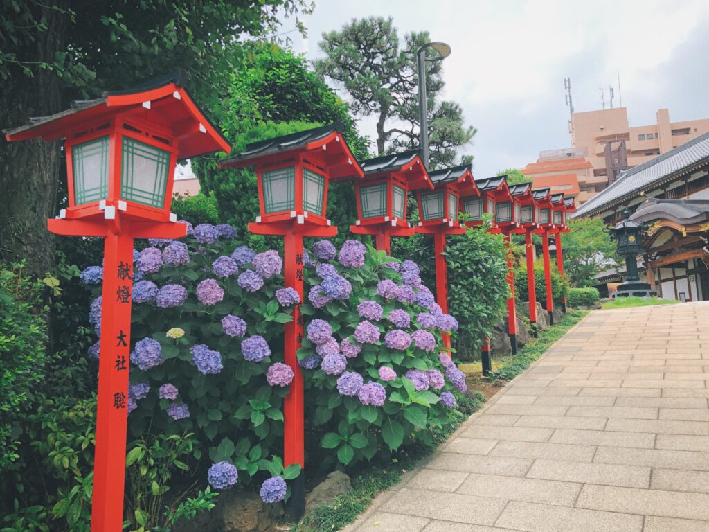 【関東】金運爆上がり神社・パワースポット10選